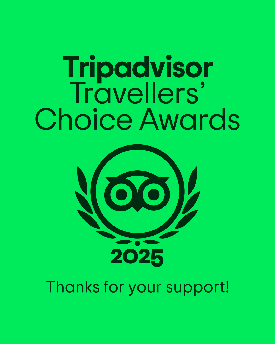 The Tripadvisor Travellers' Choice Awards Certificate for 2025. 