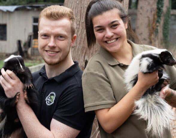 RAF Animals and Friends