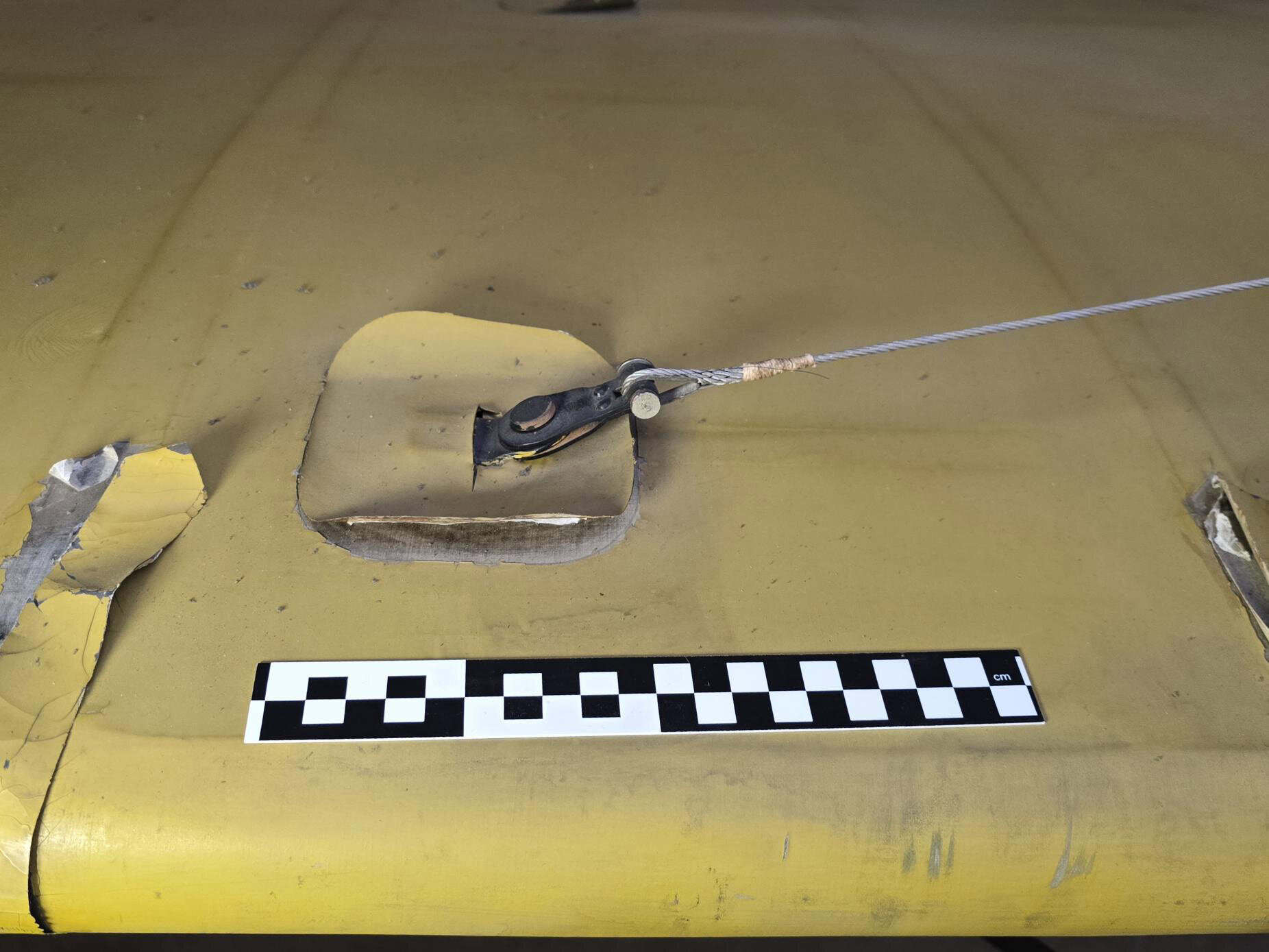 Conserving the Blériot Wings: The First Steps